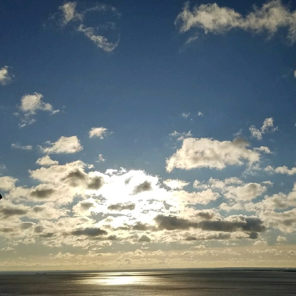 Meet your Posher, Rachel - Picture 1 of 1